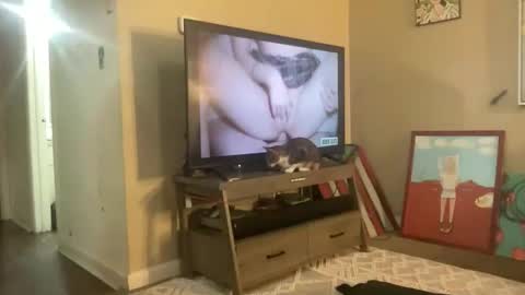 CuteUwUboytoy online show from 18, 3, 2026