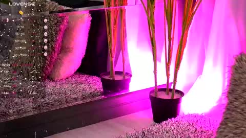 Ivy online show from 14, 11, 2025