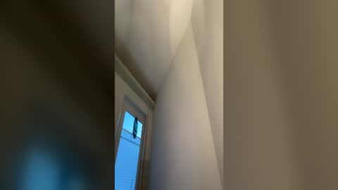 Dachdecker online show from 25, 6, 2026