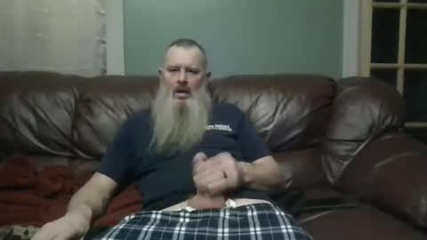 dachshund01 online show from 5, 12, 2025