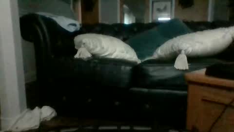 Snapshot of dadddyslilslxtxx chatting on 17, 9, 2025 cumslutangel online show from 17, 9, 2025