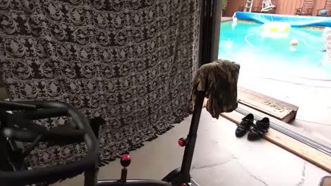 bas online show from 27, 9, 2025