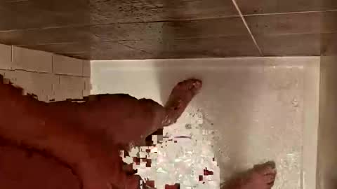 Snapshot of daddycoolm chatting on 29, 10, 2025 LetsHaveFunTogether online show from 29, 10, 2025