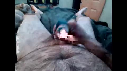 daddycumming1991 online show from 12, 3, 2026