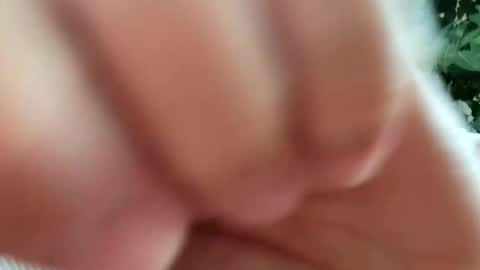 daddydick926 online show from 11, 9, 2025