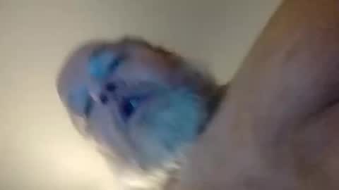 Daddyshome4115 online show from 20, 12, 2025