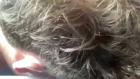 Snapshot of daddyswede23 chatting on 9, 4, 2026 daddyswede23 online show from 9, 4, 2026