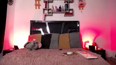 daenerys_cat online show from 31, 1, 2025
