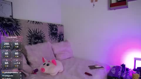 daenerys_cat online show from 1, 3, 2025