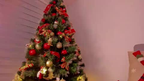 Dahli online show from 28, 12, 2024