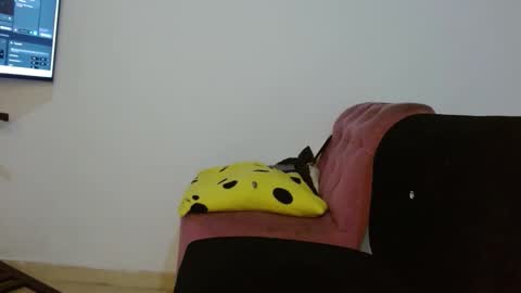 Daiisha.. online show from 18, 4, 2026