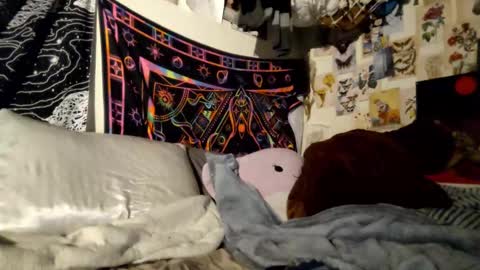 DaintyDarling online show from 21, 2, 2025