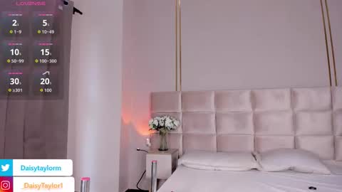 Daisy online show from 19, 11, 2025