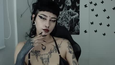 dakota online show from 29, 1, 2025