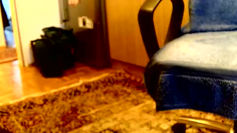 Dammerl online show from 6, 4, 2026