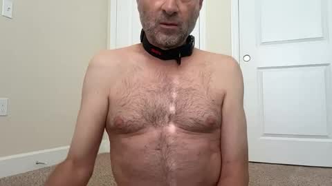 slave being trained online show from 18, 6, 2026