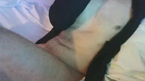 Snapshot of dan567y chatting on 28, 2, 2025 dan567y online show from 28, 2, 2025