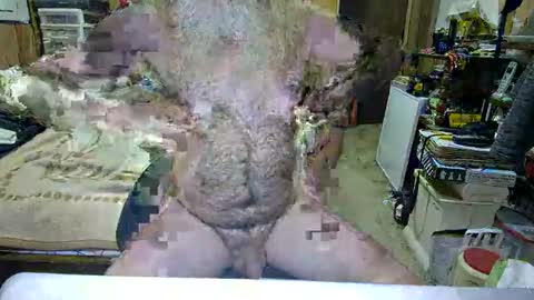 Snapshot of danagm chatting on 29, 10, 2025 Dana online show from 29, 10, 2025