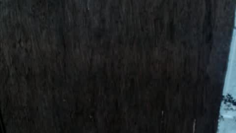 Snapshot of dangerouscock69_nica chatting on 2, 10, 2025 Nica online show from 2, 10, 2025