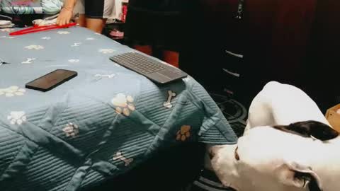 Snapshot of dani_jocelyn chatting on 16, 2, 2026 dani y jocelyn online show from 16, 2, 2026