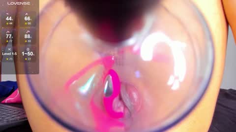 DANIA online show from 7, 1, 2026