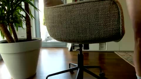 daniel_cute_xl online show from 25, 4, 2026