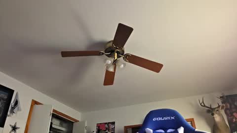 Daniel    y. online show from 22, 10, 2025