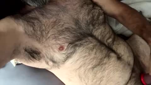 Danimal1386 online show from 26, 11, 2025