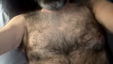 Danimal1386 online show from 15, 1, 2026