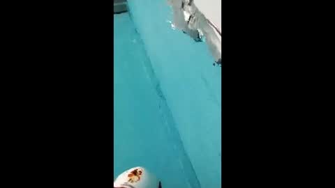 danipas_30 online show from 12, 2, 2026