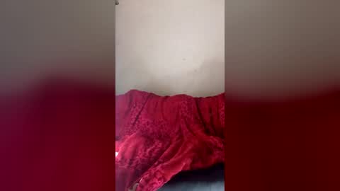 Snapshot of dankshepp chatting on 16, 6, 2026 dandeb online show from 16, 6, 2026