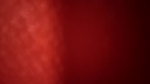 Snapshot of dankshepp chatting on 19, 6, 2026 dandeb online show from 19, 6, 2026