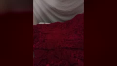 Snapshot of dankshepp chatting on 1, 7, 2026 dandeb online show from 1, 7, 2026