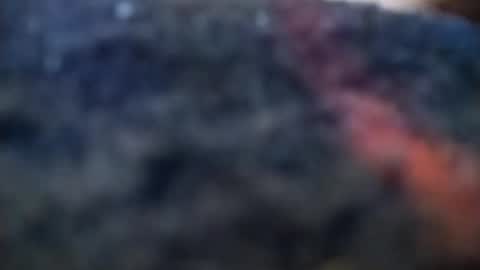 Snapshot of dannowisc chatting on 20, 2, 2026 dannowisc online show from 20, 2, 2026