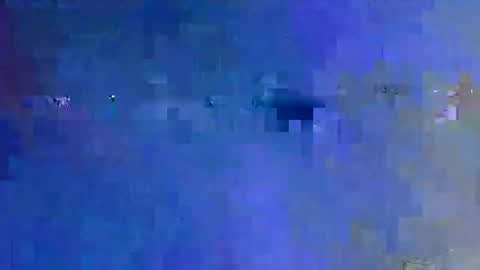 danny149664 online show from 31, 5, 2026