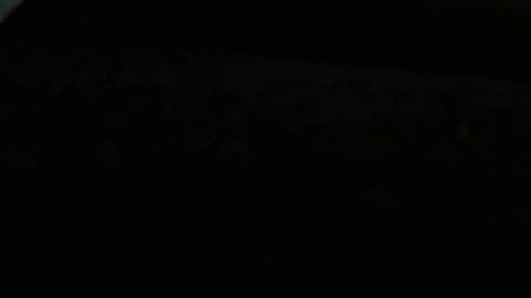 danny81boy online show from 8, 12, 2024