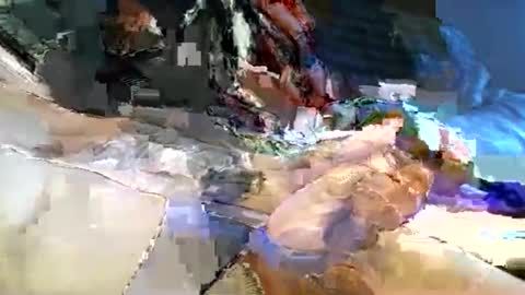 dannytabb1 online show from 11, 11, 2025