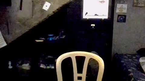 dany_kyng online show from 3, 2, 2026