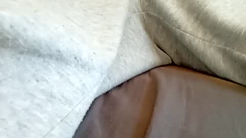 danydickontin online show from 25, 7, 2026
