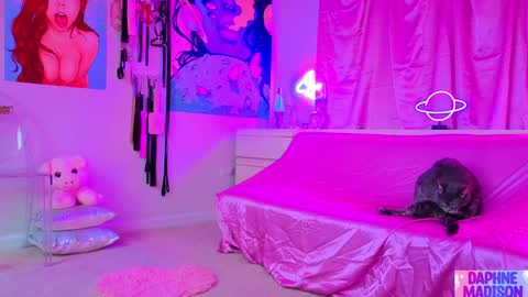 Daphne Madison online show from 10, 2, 2026