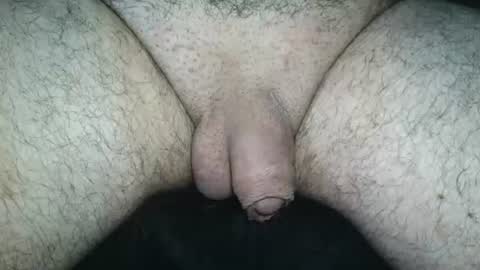 Snapshot of dapppper chatting on 12, 6, 2026 dapppper online show from 12, 6, 2026