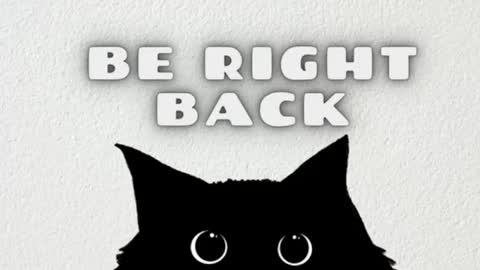 darienlarge online show from 10, 1, 2026