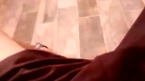 dario1127 online show from 15, 12, 2025