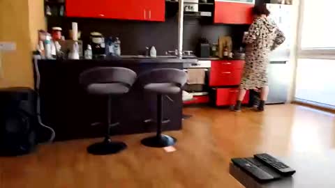 dxd69 online show from 8, 4, 2026