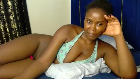 Tiff online show from 29, 11, 2025