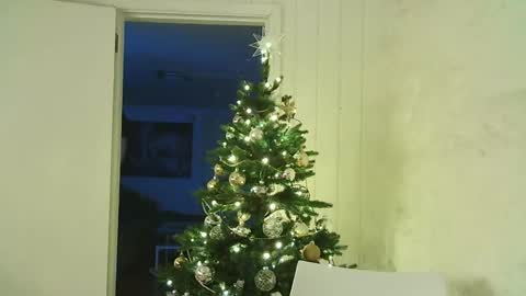 Dario online show from 25, 12, 2024