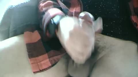 Snapshot of dartrok chatting on 17, 2, 2025 Dartrok online show from 17, 2, 2025