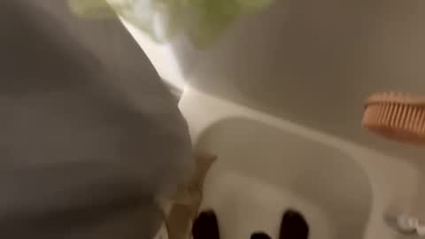 Snapshot of dasquirtmaster chatting on 29, 3, 2026 dasquirtmaster online show from 29, 3, 2026