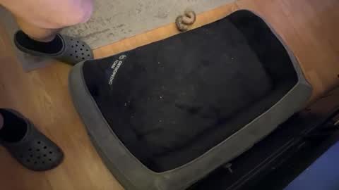 Datguy127 online show from 18, 2, 2025