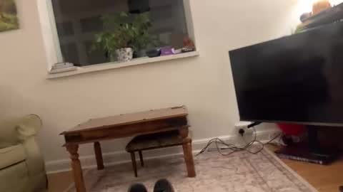 davadoodee online show from 19, 1, 2026